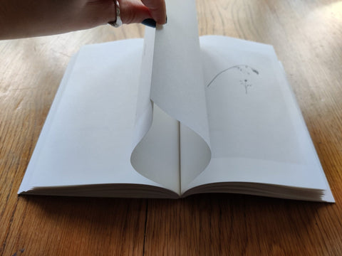 After the Snowstorm - Setanta Books