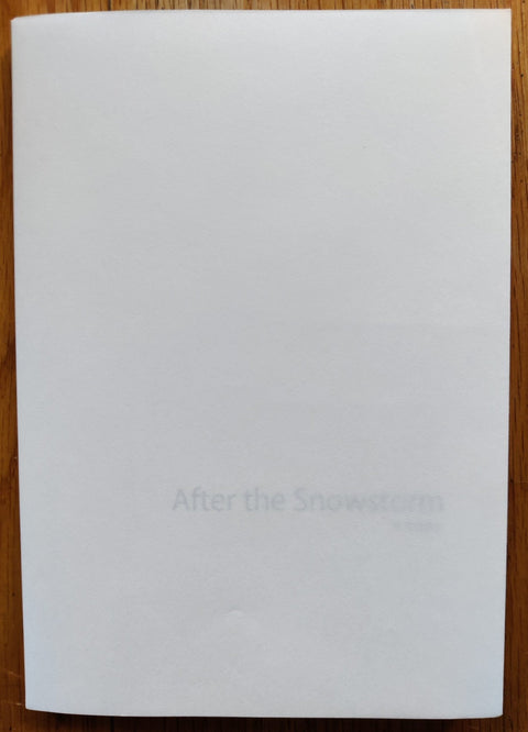 After the Snowstorm - Setanta Books