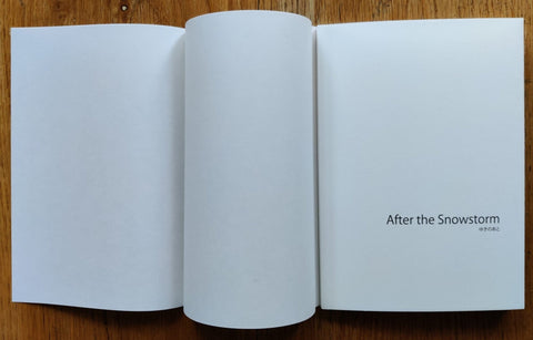 After the Snowstorm - Setanta Books