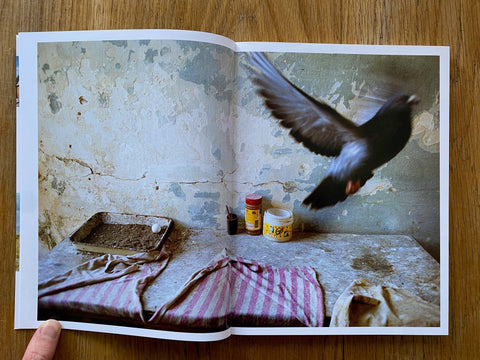 Alex Webb and Rebecca Norris Webb on Street Photography and the Poetic Image - Setanta Books