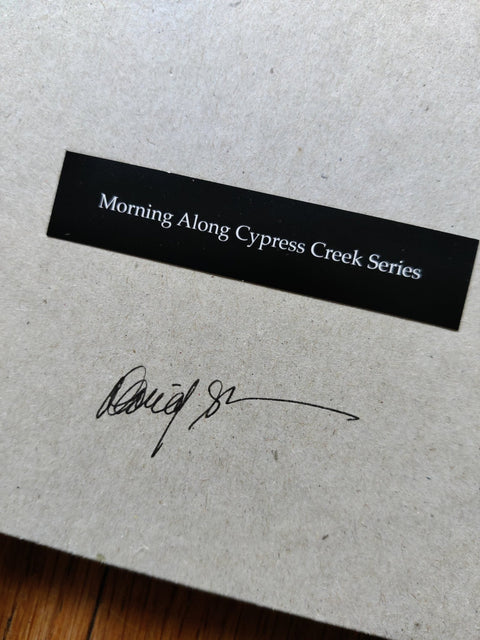 Along Cypress Creek (Morning Along Cypress Creek Series) - Setanta Books