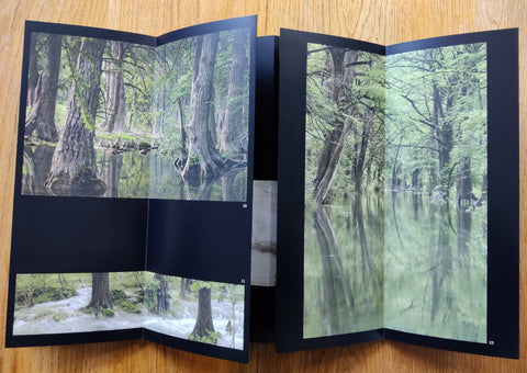 Along Cypress Creek (Morning Along Cypress Creek Series) - Setanta Books
