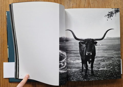 American Music - Setanta Books