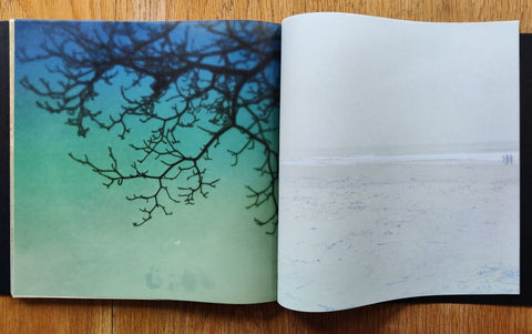And, Do You Still Hear The Peacocks? - Setanta Books
