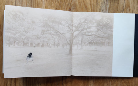 And, Do You Still Hear The Peacocks? - Setanta Books