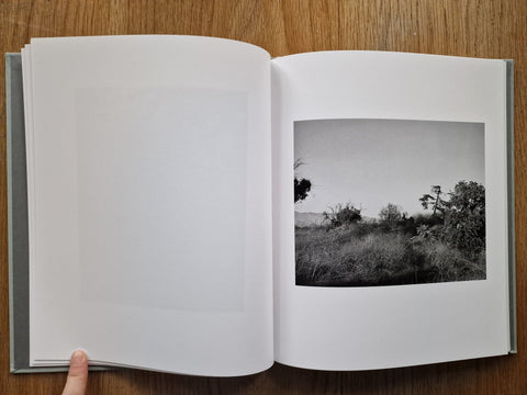 Angels Point - Setanta Books