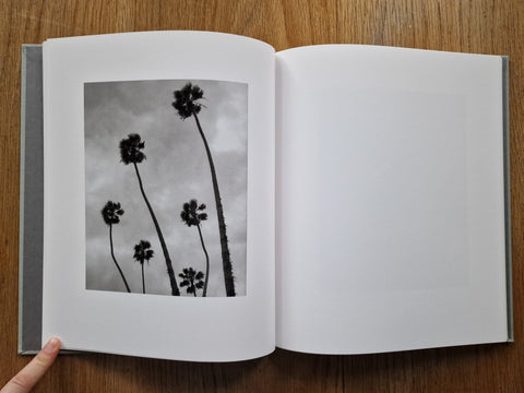 Angels Point - Setanta Books