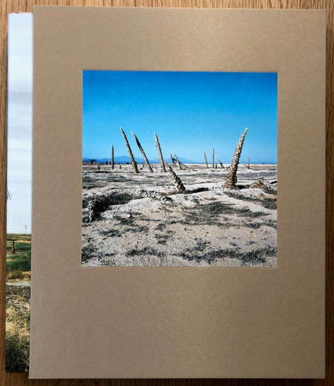 The photography book cover of Discarded by Anthony Hernandez. Hardback in brown with cover photo of arid desert and bare trees/cacti.