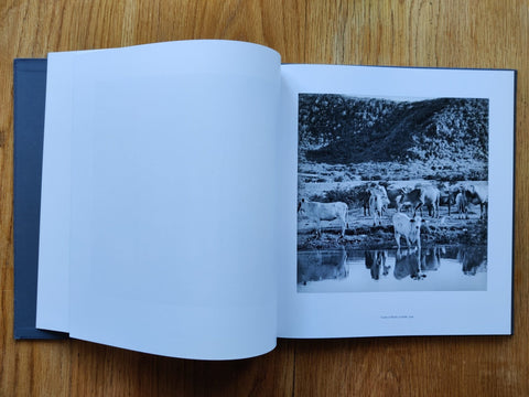 Antigua - Setanta Books