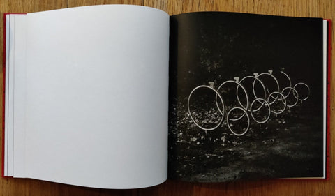 Apiary - Setanta Books