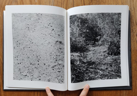 Arboreal - Setanta Books