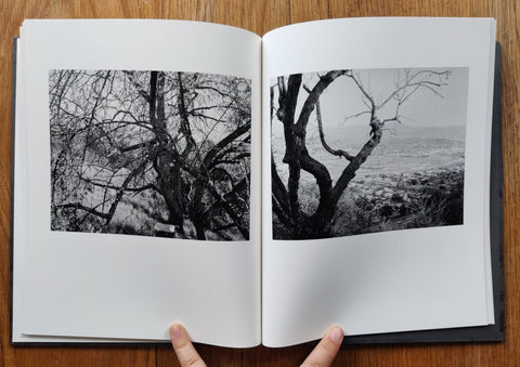 Arboreal - Setanta Books
