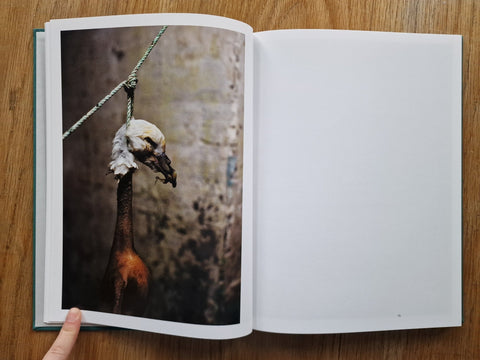 Atlantic Cowboy - Setanta Books