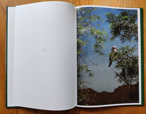 AVES MEI - Setanta Books