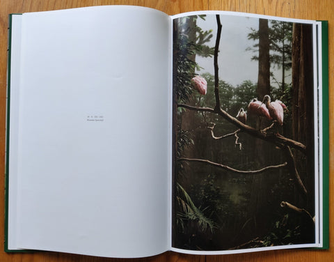 AVES MEI - Setanta Books