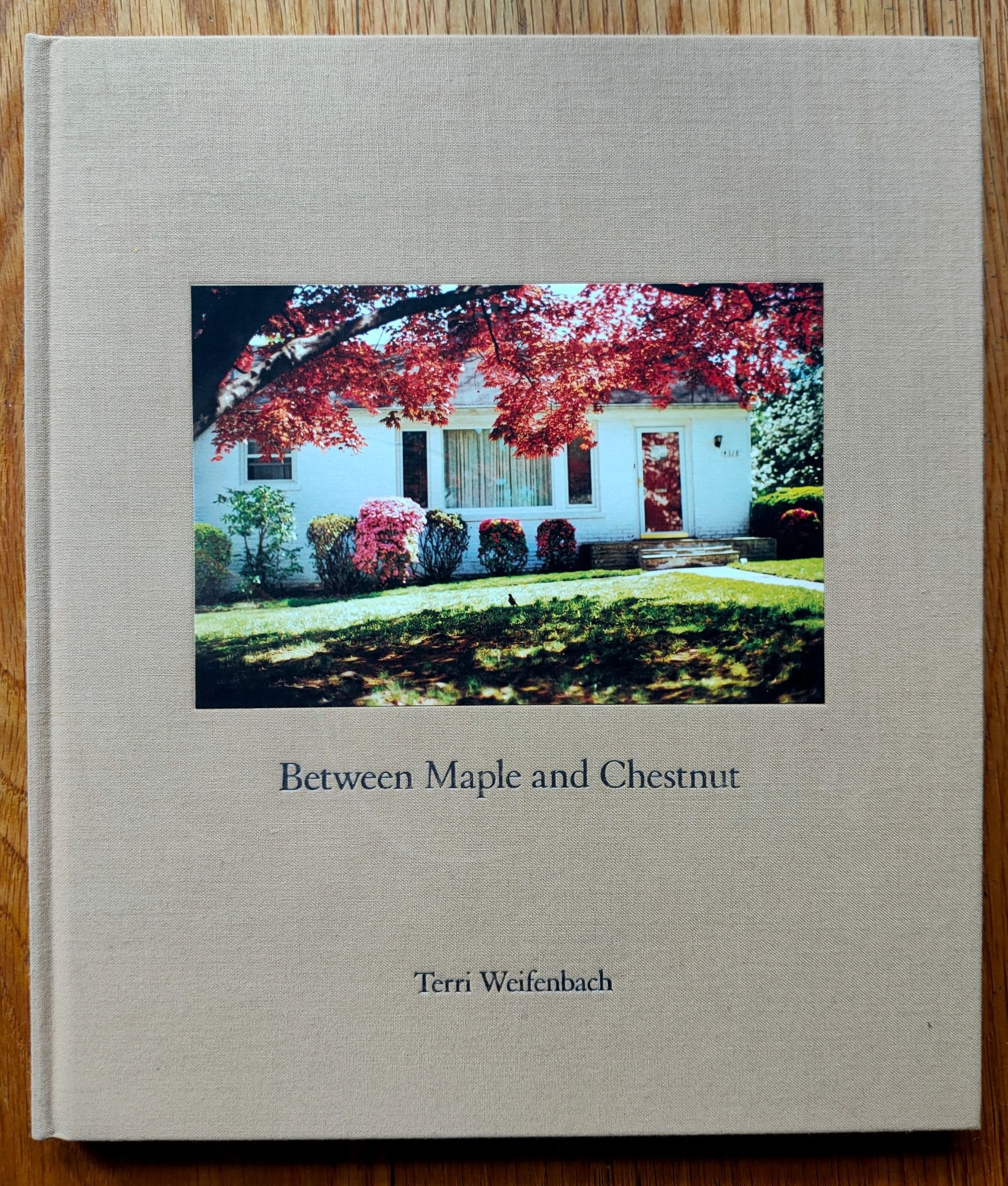 Buy Terri Weifenbach Books | Photography Books for Sale|Setanta Books