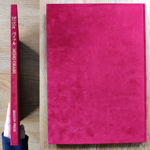 Bible - Setanta Books