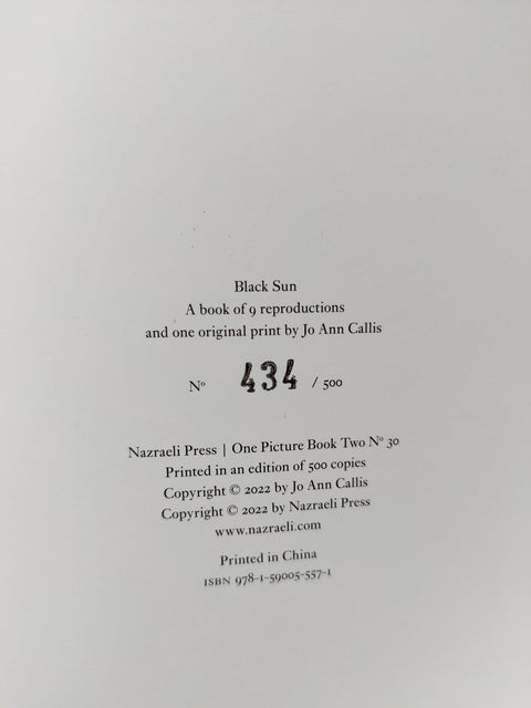 Black Sun (One Picture Book) - Setanta Books