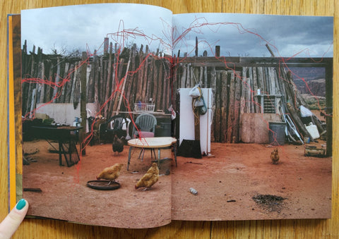 Blood Orange - Naranja de sangre - Setanta Books