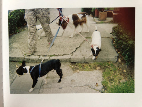 Bogota Funsaver (One Picture Book) - Setanta Books