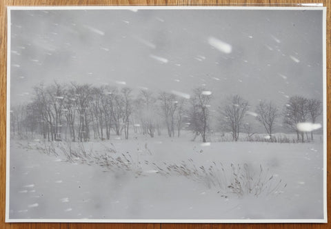 Bright Black World (Deluxe Limited Edition Suite with 15 Archival Pigment Prints)