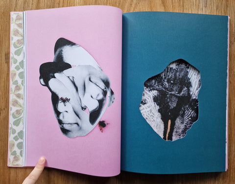 Bristningar - Setanta Books