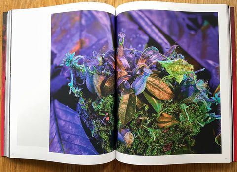 Broken Spectre - Setanta Books