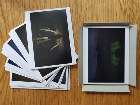 CARDLOG 01／214: To Be an Evening Breeze