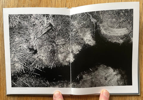 Cascade Effect (One Picture Book) - Setanta Books
