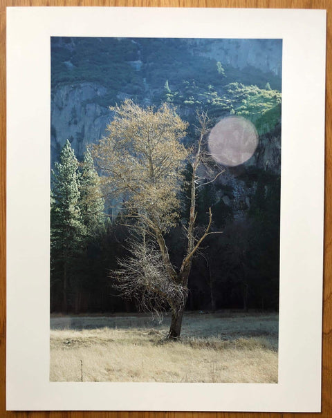 The print from Yosemite by Catherine Opie. Print is photo of a tree, the book is hardback navy blue, prints housed in slipcase. Signed.