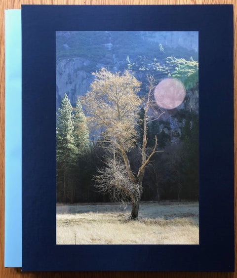 The photography book cover of Yosemite by Catherine Opie. Hardback in blue with cover image of a tree in Yosemite.