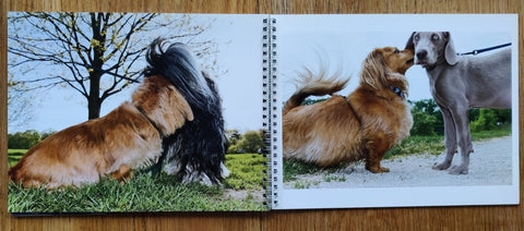 Cats and Dogs - Setanta Books