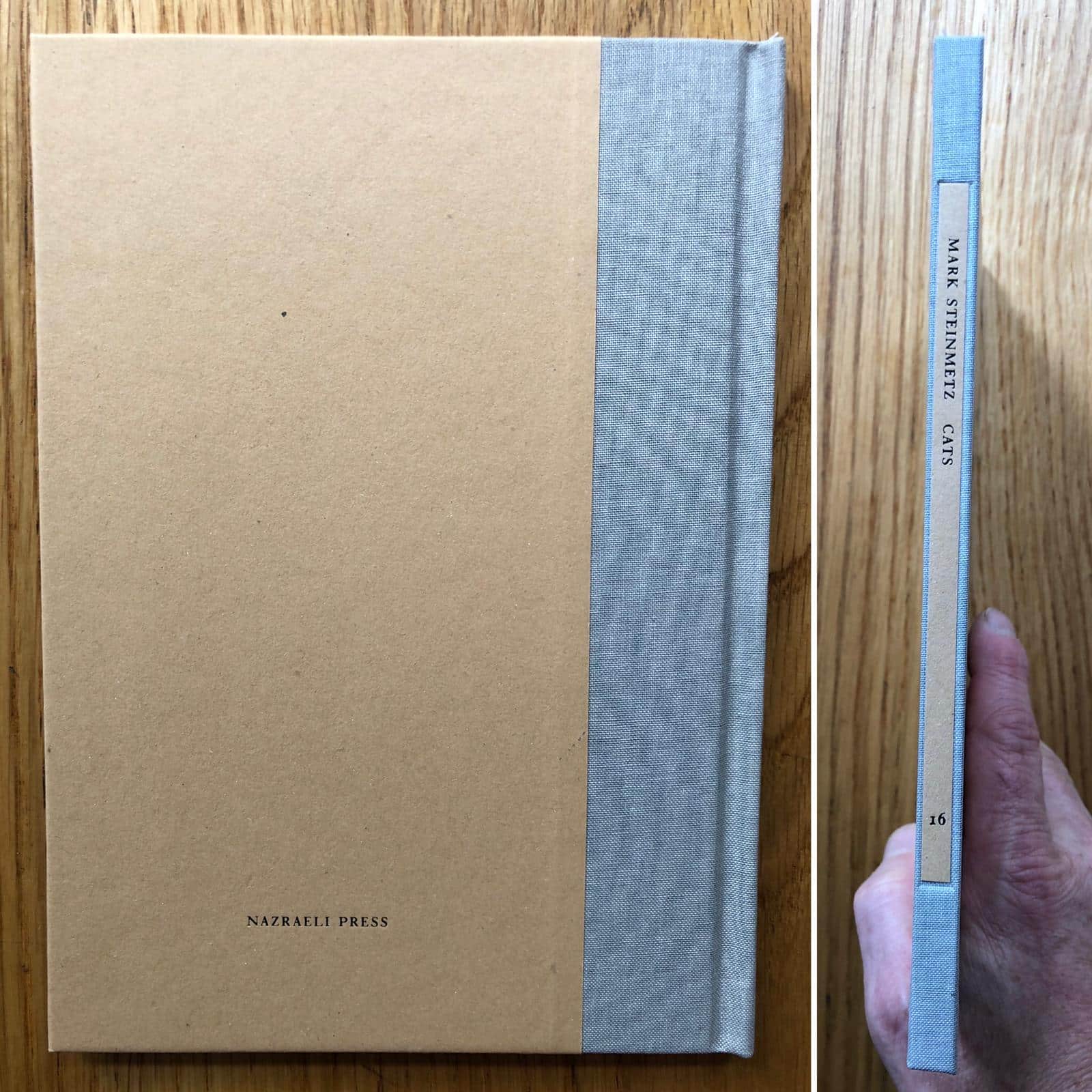 Buy Cats (One Picture Book) by Mark Steinmetz signed with print