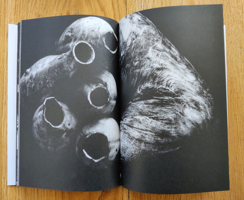 Chizu (Maquette Edition) - Setanta Books
