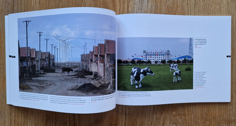 Cultural Evolution China 2005 - 2010 - Setanta Books