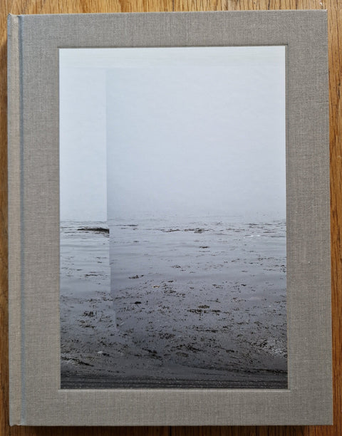 Daily, in a Nimble Sea - Setanta Books