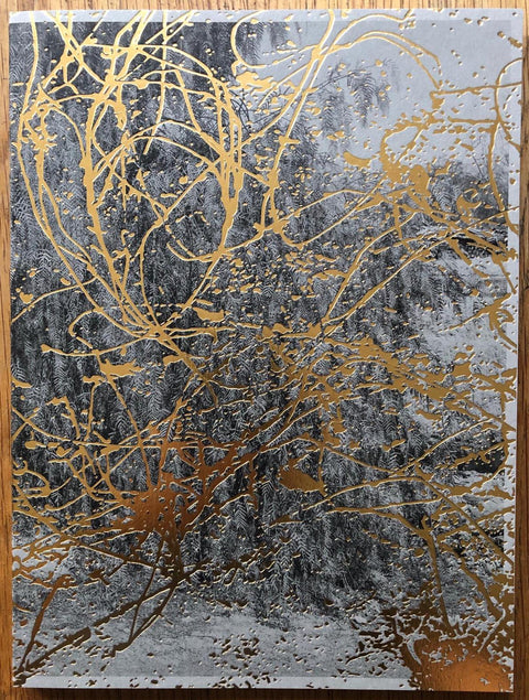 The photography book cover of Providencia by Daniel Reuter. Paperback image of trees with gold splattering over the top.