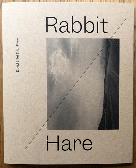 The photography book cover of Rabbit / Hare by David Billet and Ian Kline. Paperback in brown with diagonal line through cover.