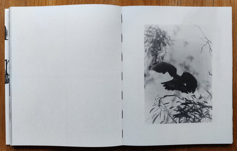 Death is not here - Setanta Books