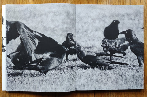 Death is not here - Setanta Books