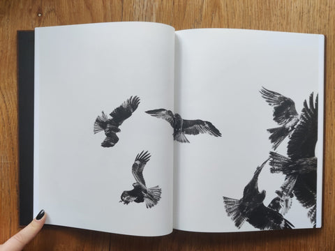 Des Oiseaux - Setanta Books