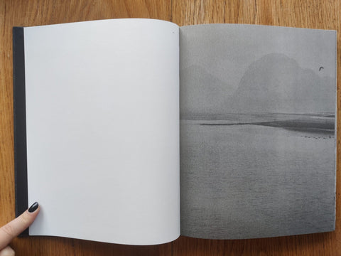 Des Oiseaux - Setanta Books