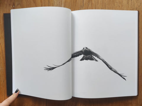 Des Oiseaux - Setanta Books