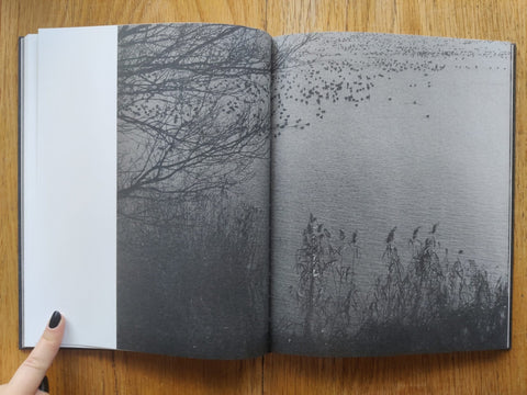 Des Oiseaux - Setanta Books