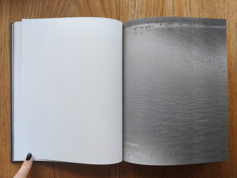 Des Oiseaux - Setanta Books