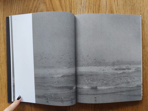 Des Oiseaux - Setanta Books