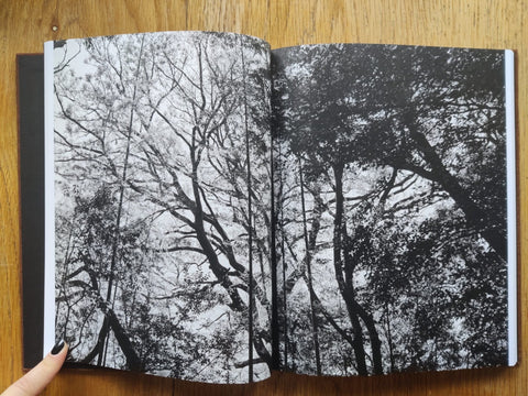 Des Oiseaux - Setanta Books