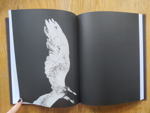 Des Oiseaux - Setanta Books