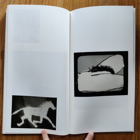 Developer Paintings - Setanta Books