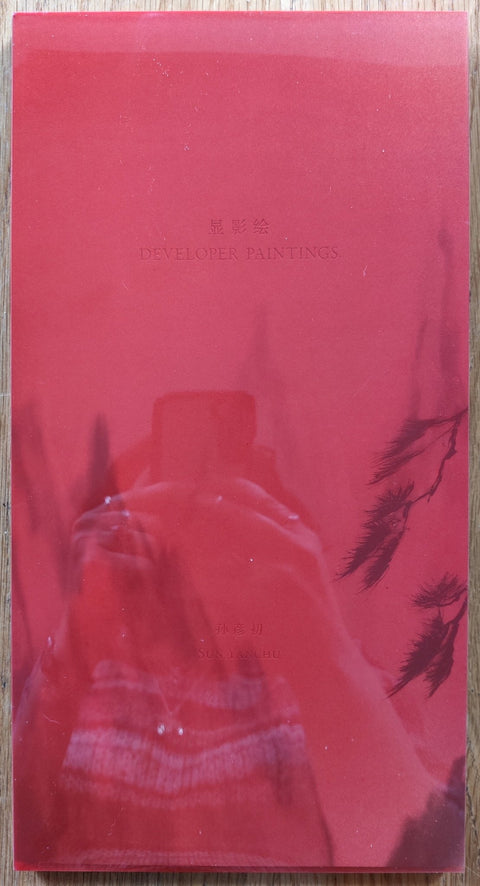Developer Paintings - Setanta Books